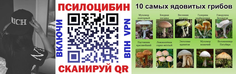наркошоп  Апрелевка  omg онион  Галлюциногенные грибы Psilocybine cubensis 